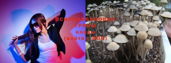 apvp Алзамай