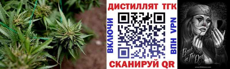 ТГК концентрат  Темрюк 
